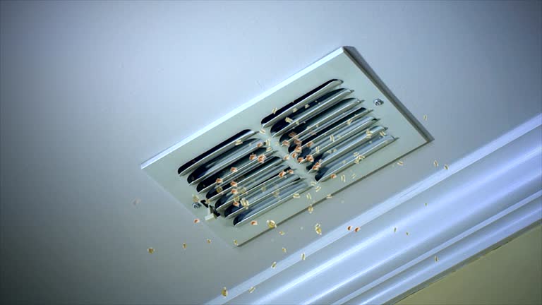 Best Best Air Duct Cleaning Company  in Douglas, AZ