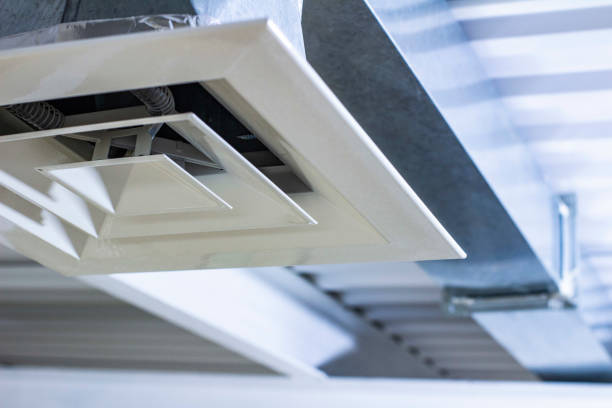 Best HVAC Duct Inspection Services  in Douglas, AZ