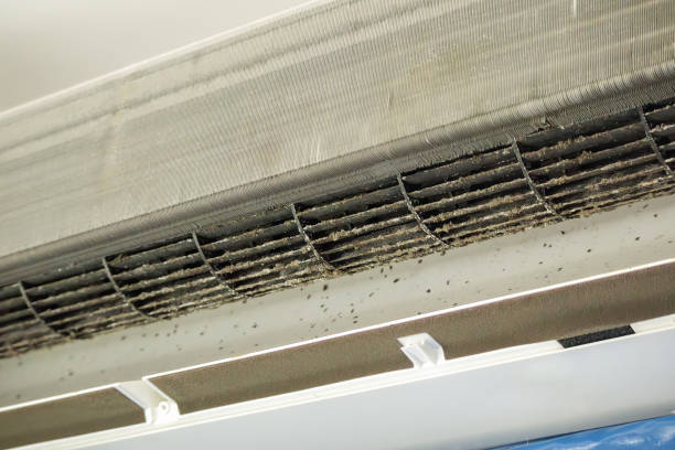 Best Emergency Air Duct Cleaning  in Douglas, AZ