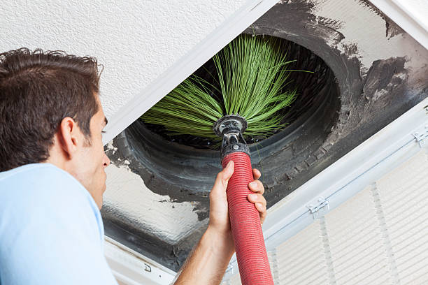 Best Commercial Air Duct Cleaning  in Douglas, AZ