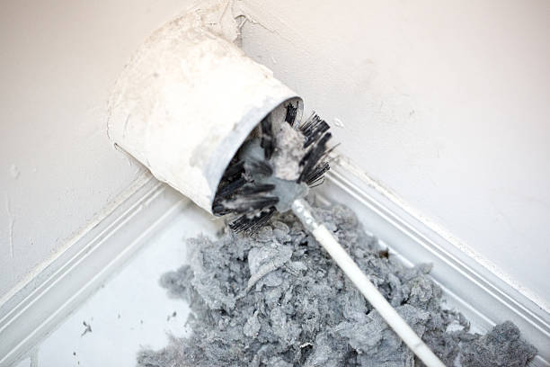 Best Best Air Duct Cleaning Company  in Douglas, AZ